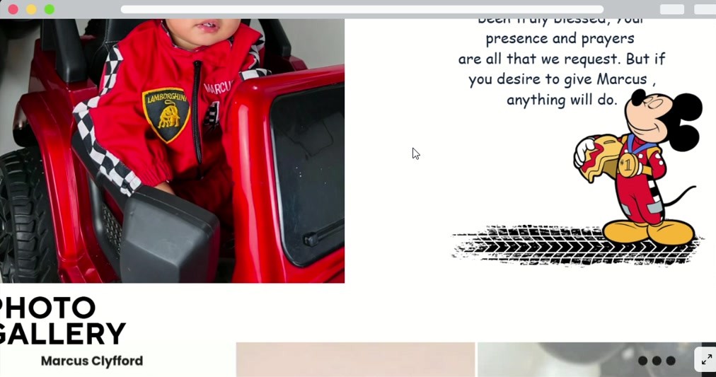 Photo gallery and gift guide screenshot